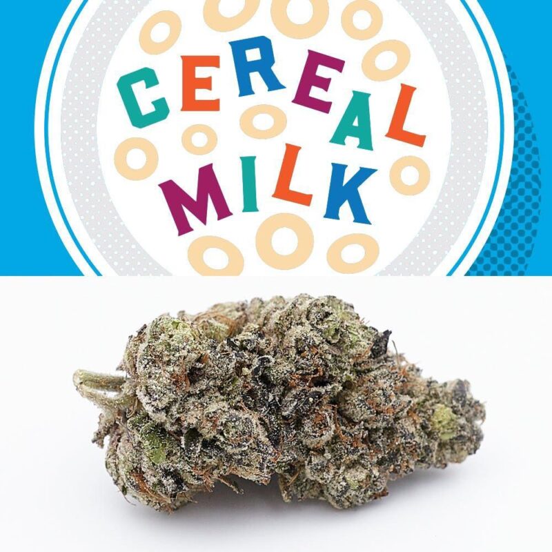 Cereal Milk Strain Buy Cereal Milk Strain Online online dispensary shipping worldwide